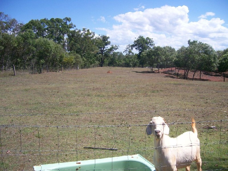 1115 Torbanlea Rd, Takura QLD 4655