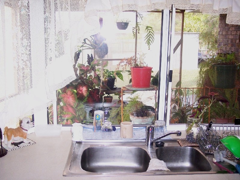 14 Haydn Drive, Kawungan QLD 4655