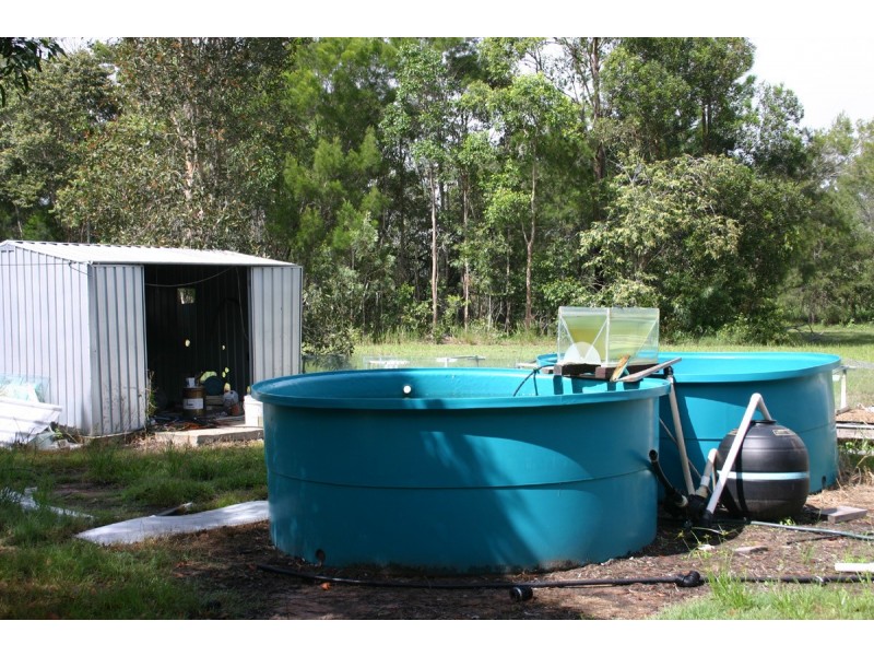 Howard QLD 4659