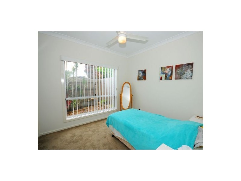 5/201 Torquay Terrace, Torquay QLD 4655