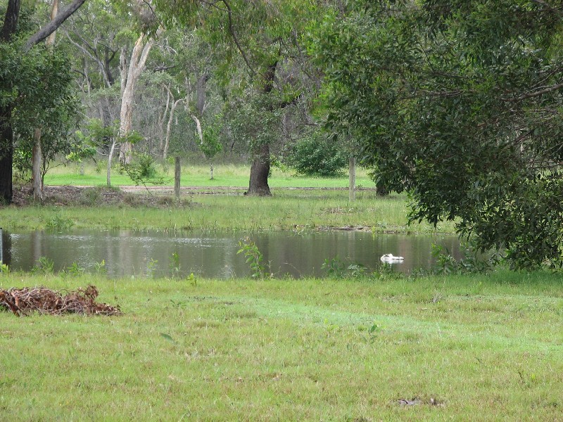 Pacific Haven QLD 4659