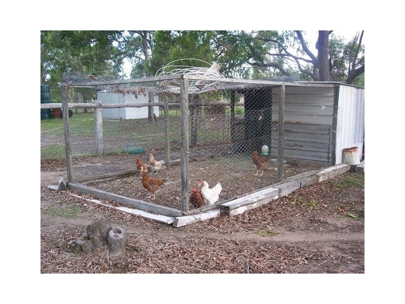 83 Barranjoey Court, Sunshine Acres QLD 4655