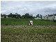 Howard QLD 4659