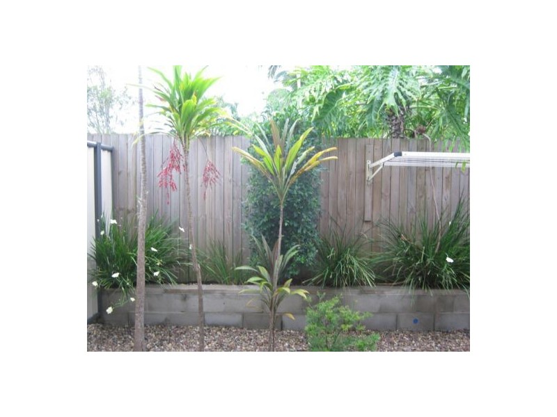 16/66 Winchelsea Street, Pialba QLD 4655