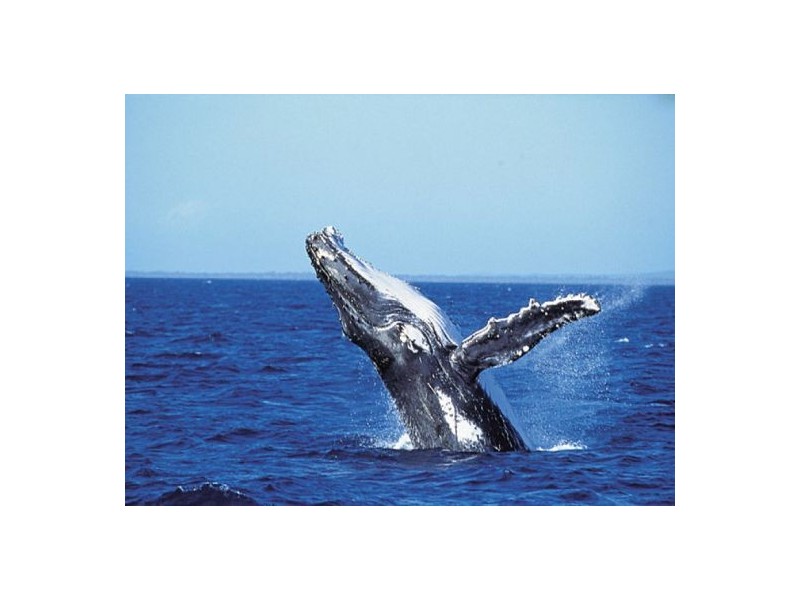 12  Waterview Dr, Dundowran Beach QLD 4655