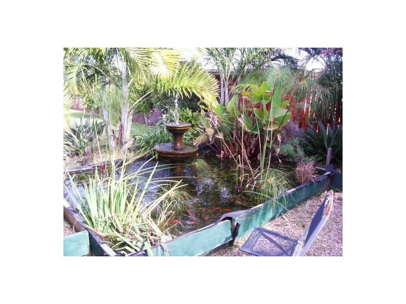 6 Kookaburra Drive, Eli Waters QLD 4655