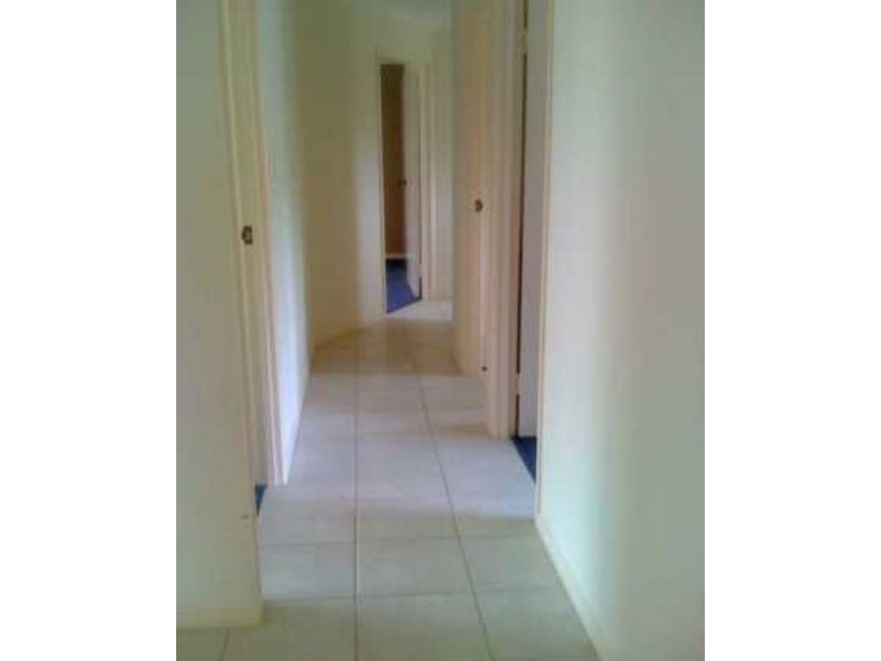 142 Colyton Street, Torquay QLD 4655