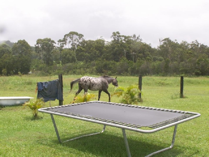 6 Sanctuary Hill Road, Takura QLD 4655