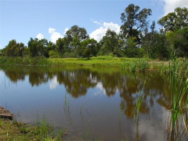 Point Vernon QLD 4655