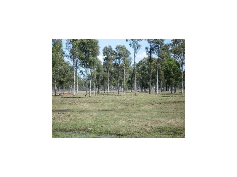 547 Noble Road, Susan River QLD 4655