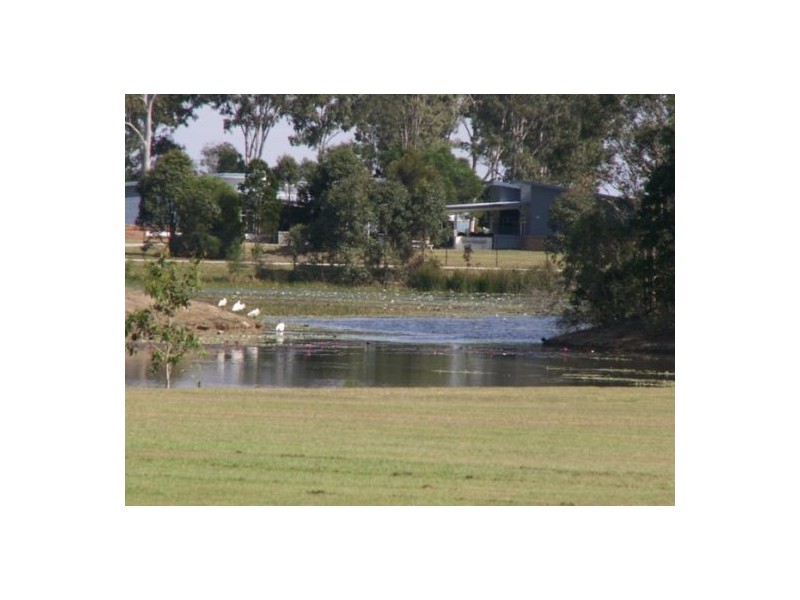 Eli Waters QLD 4655