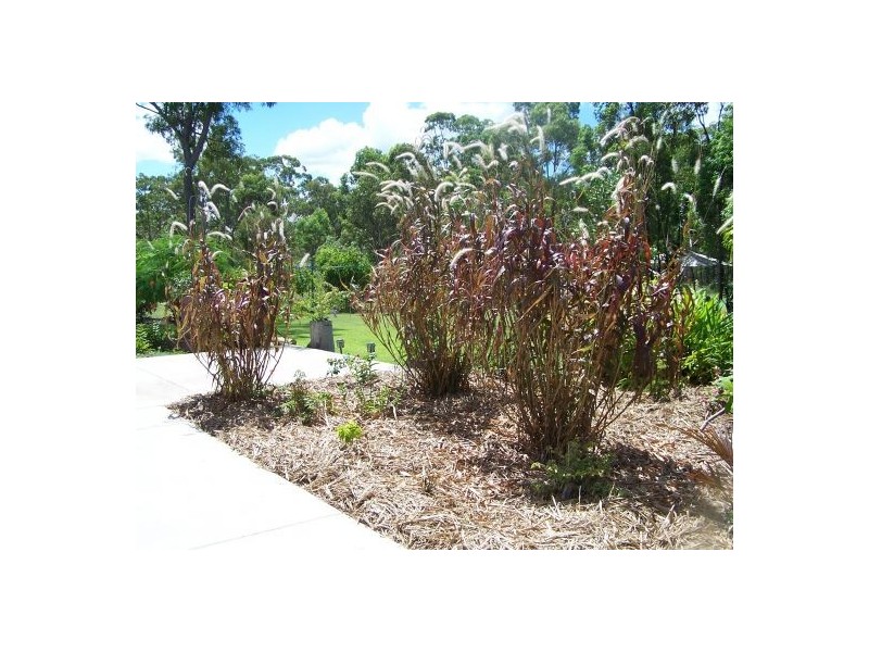 9 Brypat Cl, Burrum Heads QLD 4659