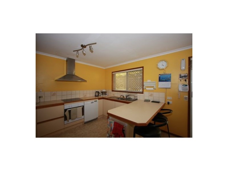 39 LIMPUS, Urangan QLD 4655