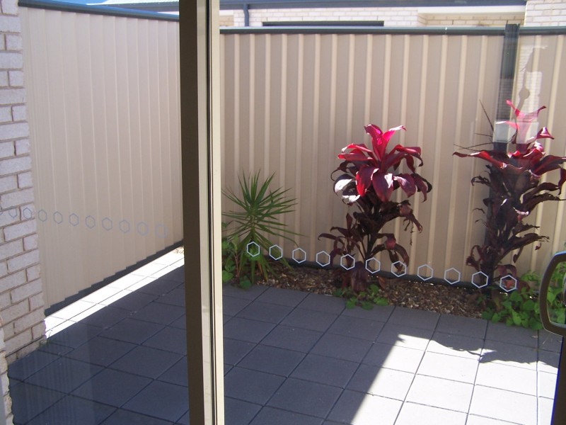 7/66 Winchelsea Road, Pialba QLD 4655