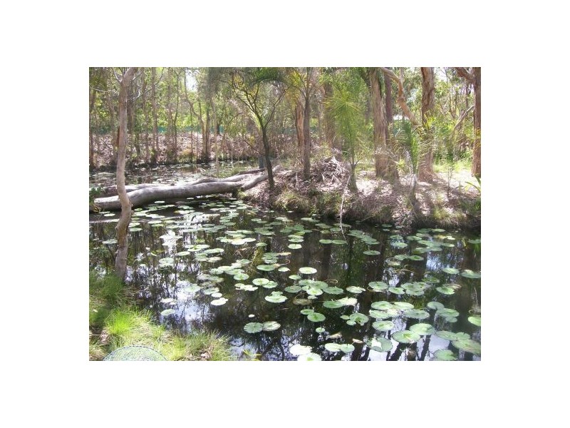 33 Amos Road, Urangan QLD 4655