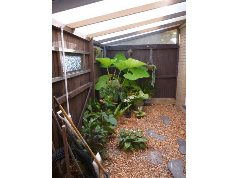 99  Cunningham Street, Urangan QLD 4655