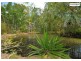 50 Senorita Parade, Urangan QLD 4655