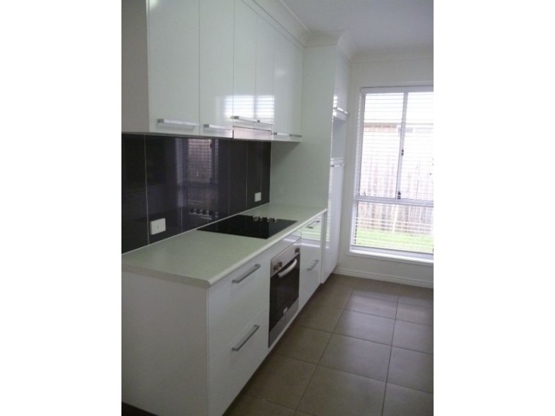 13a Daintree Drive, Urangan QLD 4655