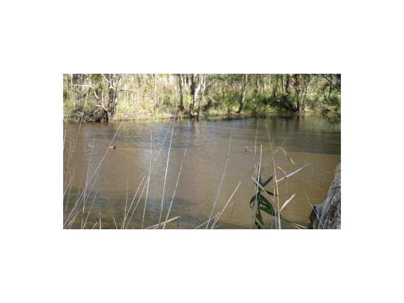 218 Oregan Creek Road, Toogoom QLD 4655