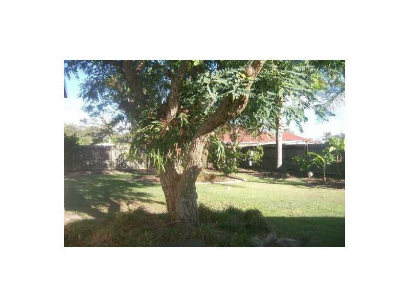 8 Maree Street, Wondunna QLD 4655