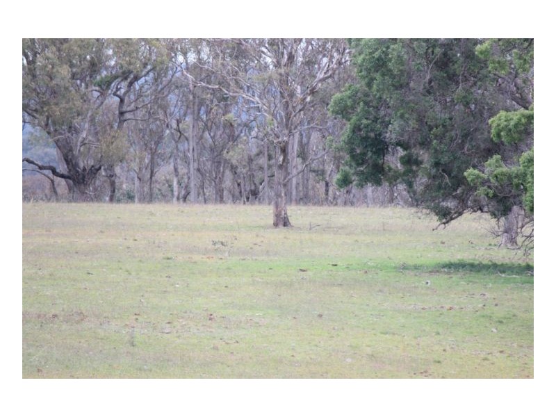 Armidale NSW 2350