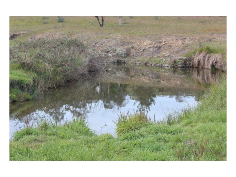 Armidale NSW 2350