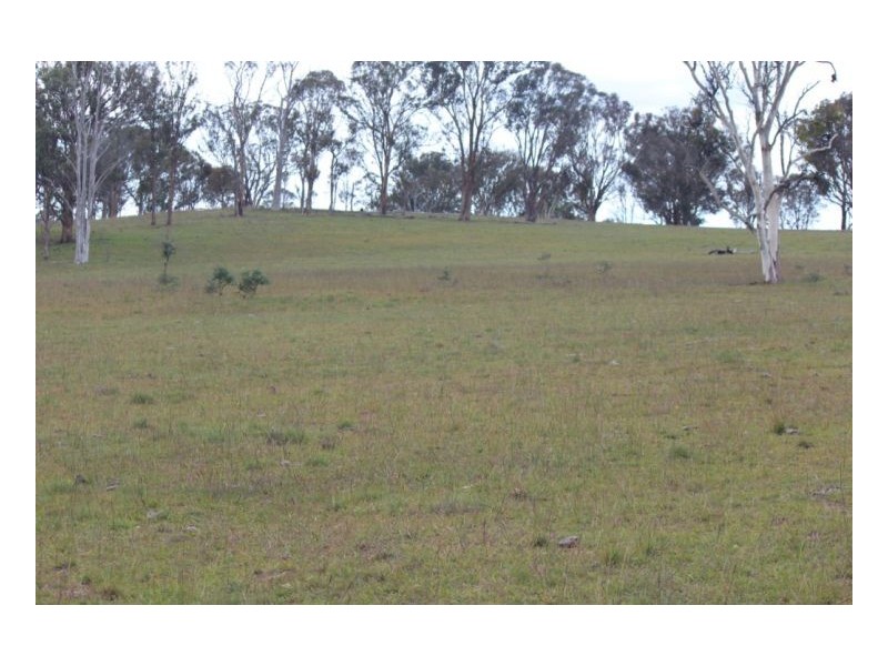 Armidale NSW 2350