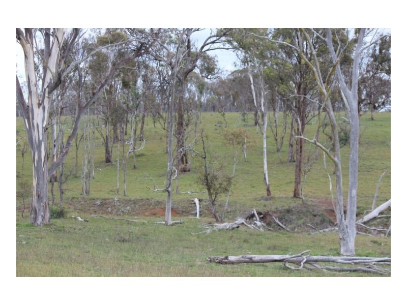 Armidale NSW 2350