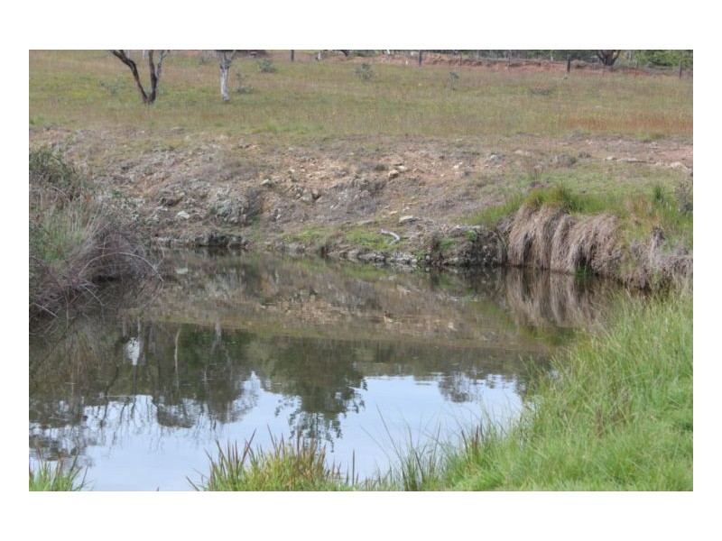 Armidale NSW 2350