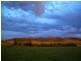 Armidale NSW 2350