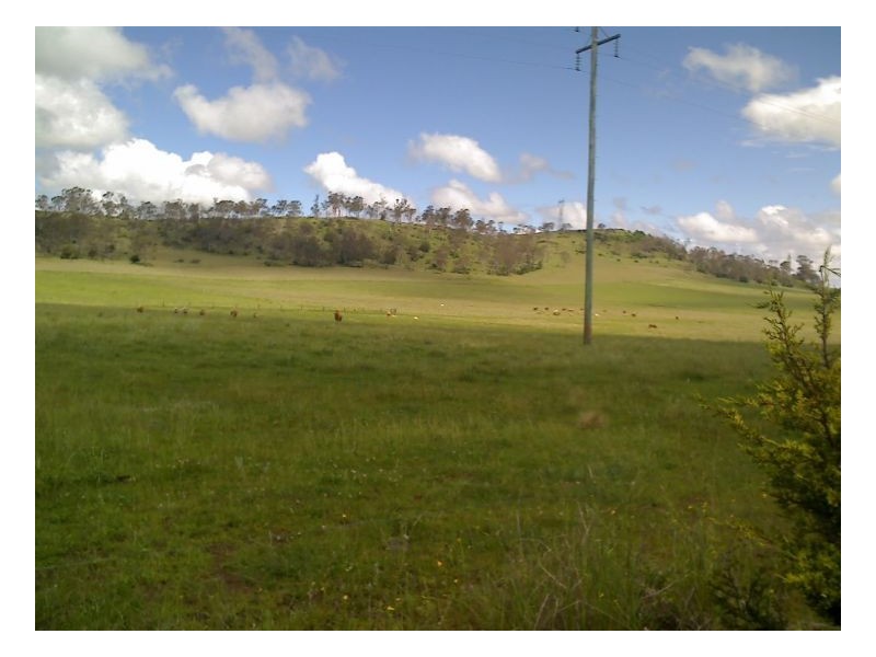 Armidale NSW 2350
