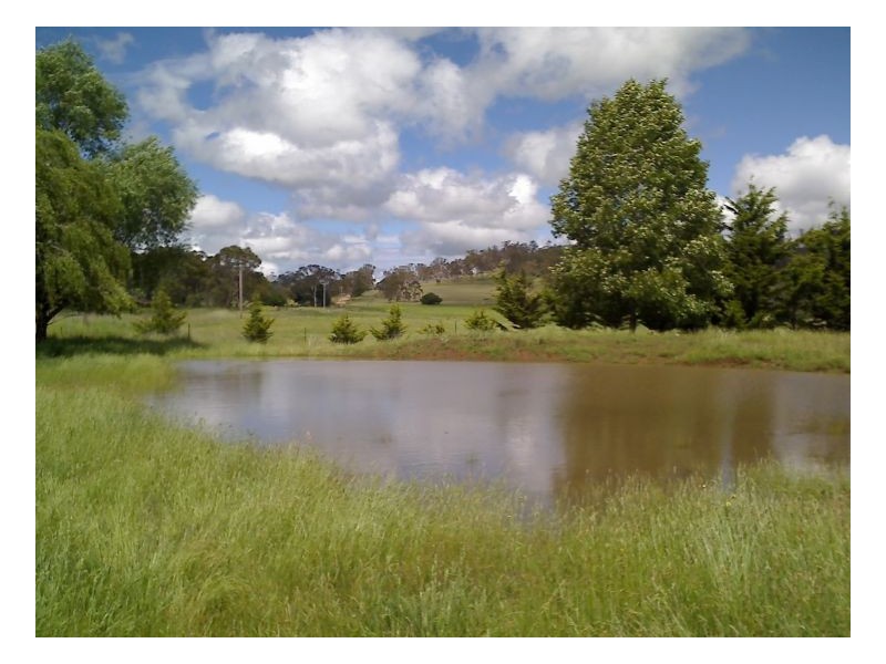 Armidale NSW 2350