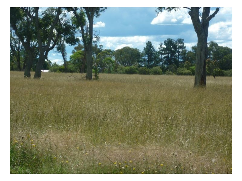 50 Holloways Lane, Arding NSW 2358