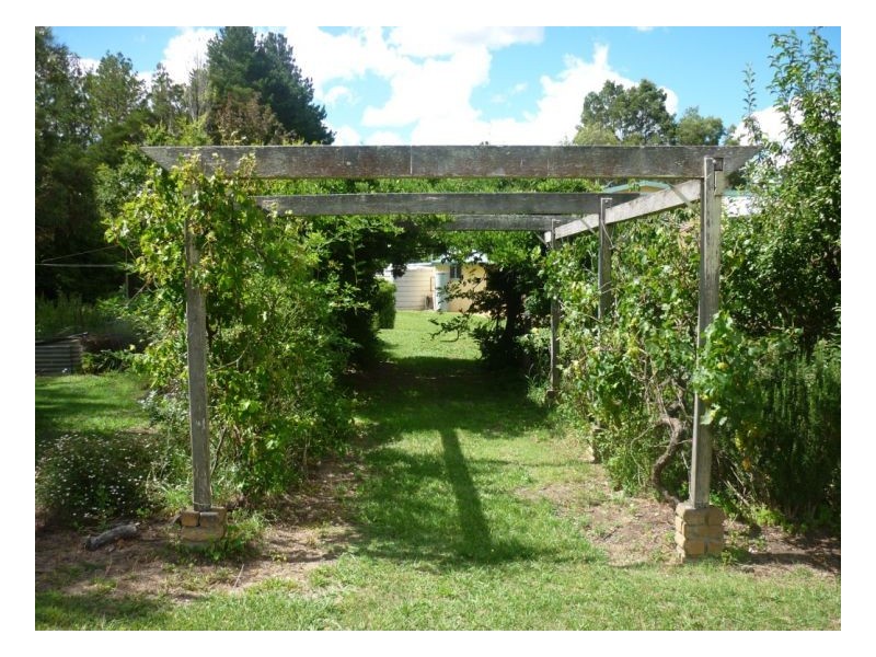 50 Holloways Lane, Arding NSW 2358