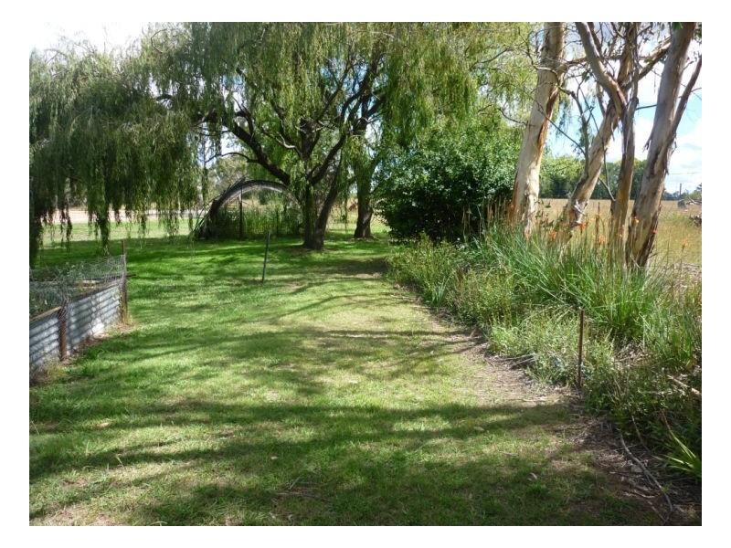 50 Holloways Lane, Arding NSW 2358