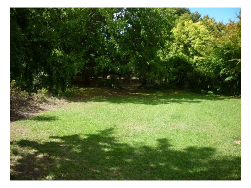 50 Holloways Lane, Arding NSW 2358