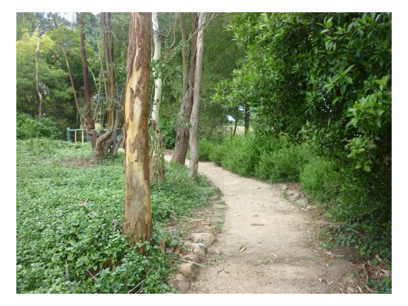 50 Holloways Lane, Arding NSW 2358