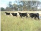 Armidale NSW 2350