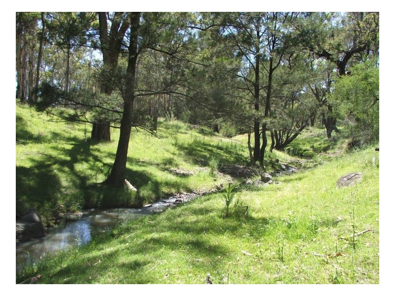 Armidale NSW 2350
