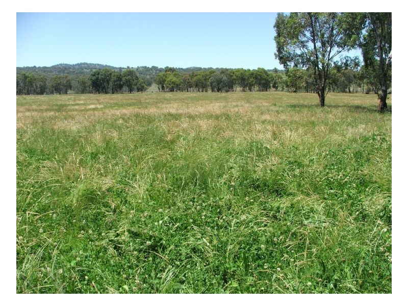 Armidale NSW 2350