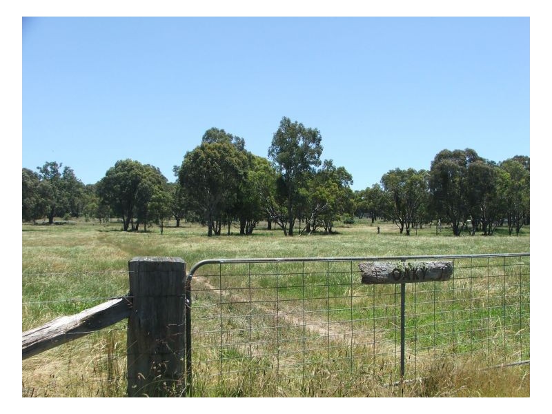 Armidale NSW 2350