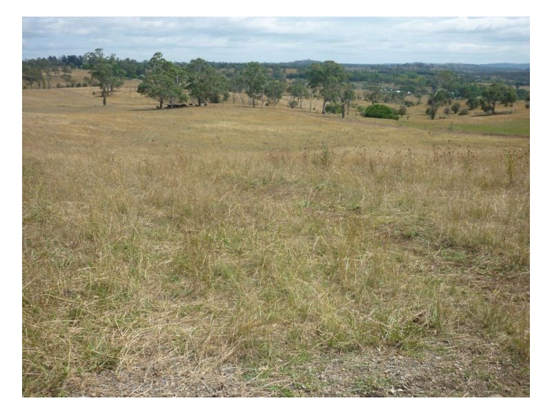 Armidale NSW 2350