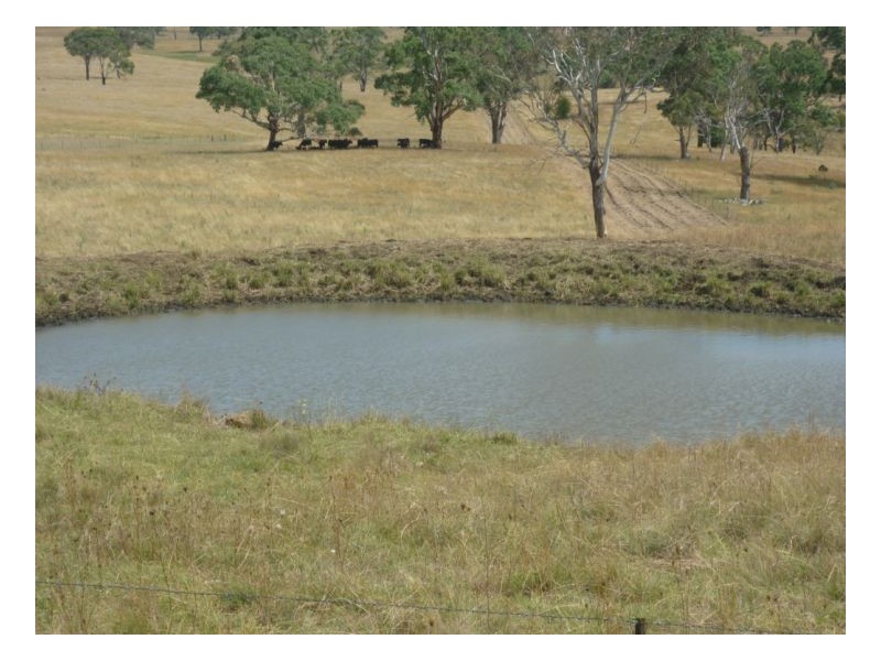 Armidale NSW 2350