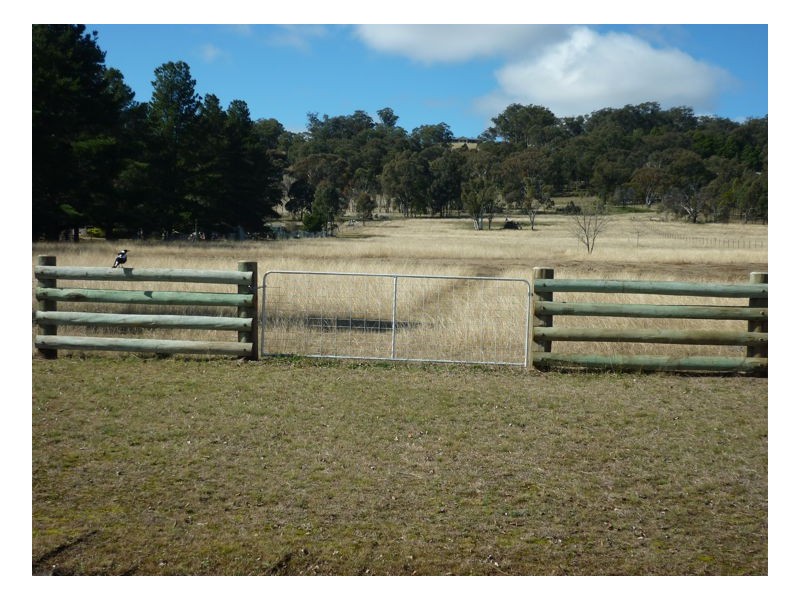 Armidale NSW 2350