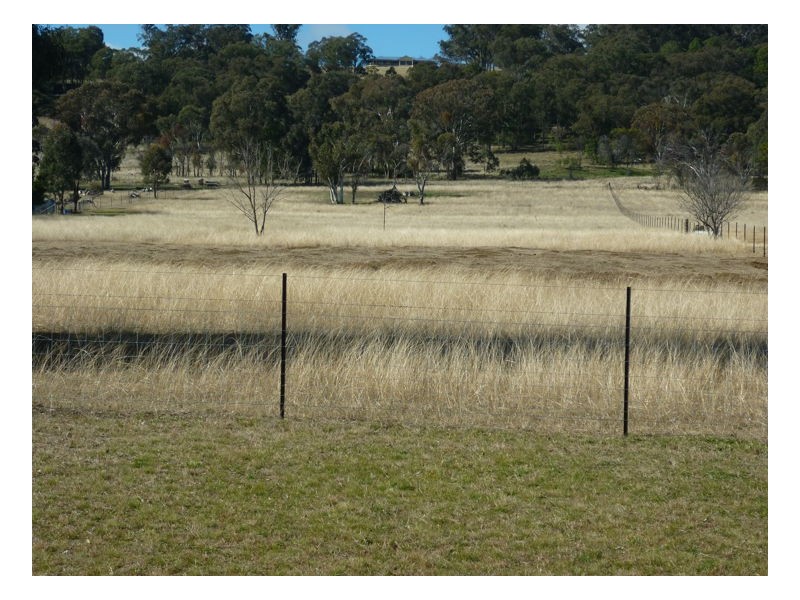 Armidale NSW 2350