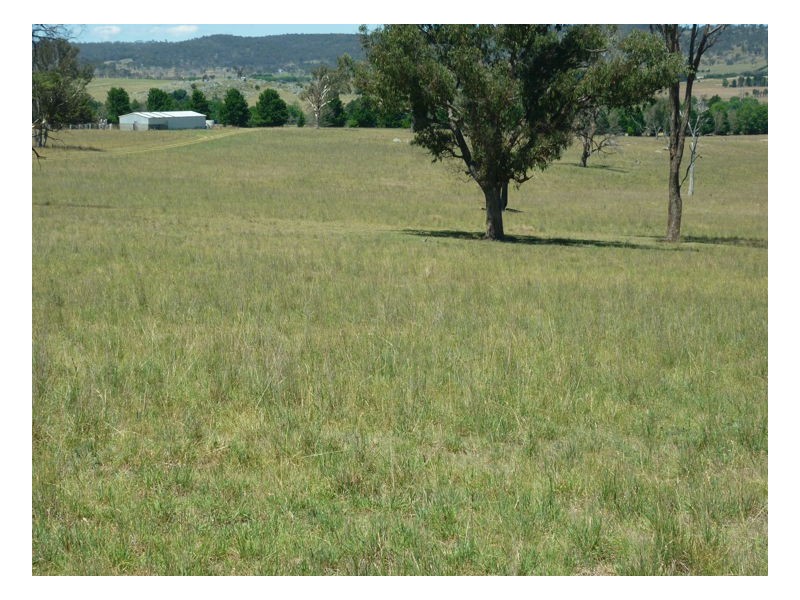 Armidale NSW 2350