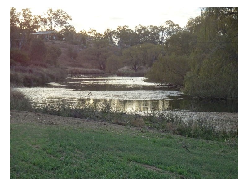 Armidale NSW 2350