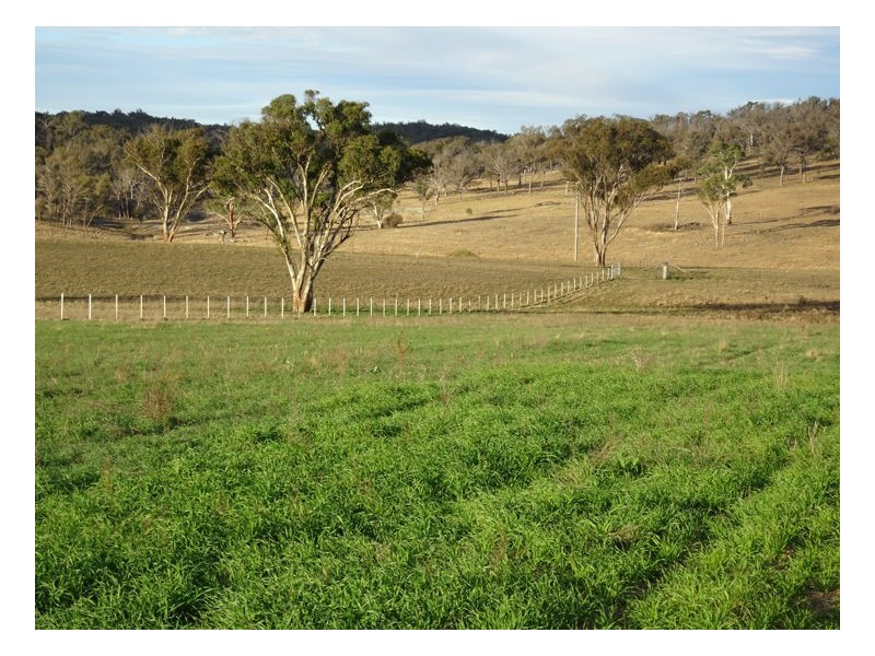 Armidale NSW 2350
