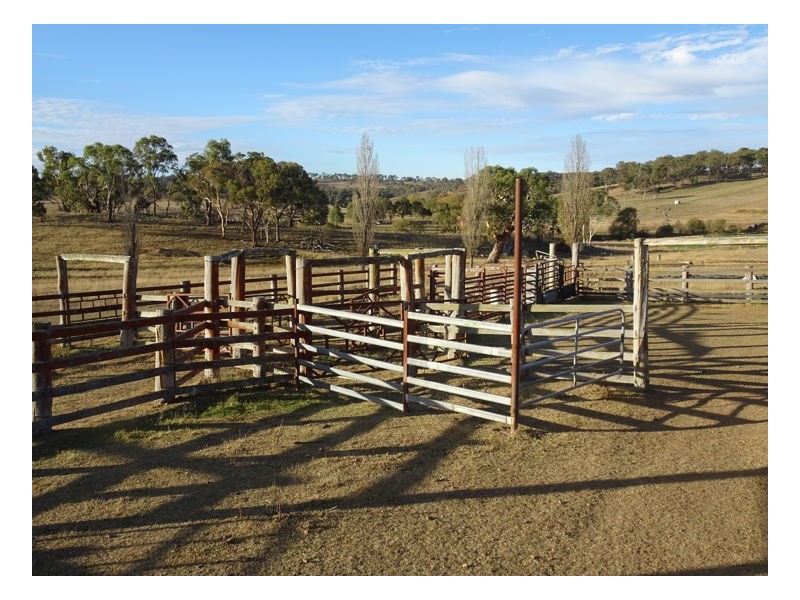 Armidale NSW 2350