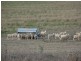 Armidale NSW 2350